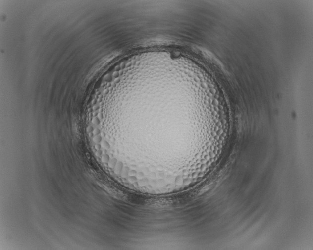X0000076371217200610271454