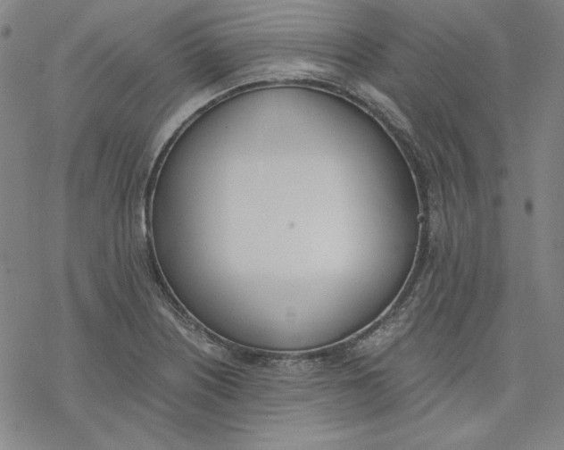 X0000076371226200610271454