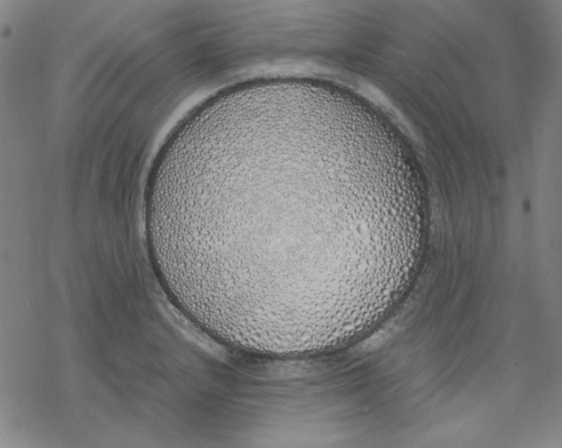 X0000076371232200610271455