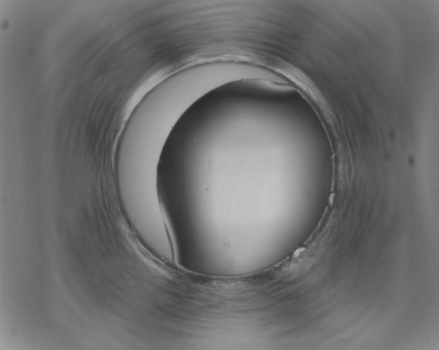 X0000076371242200610271455