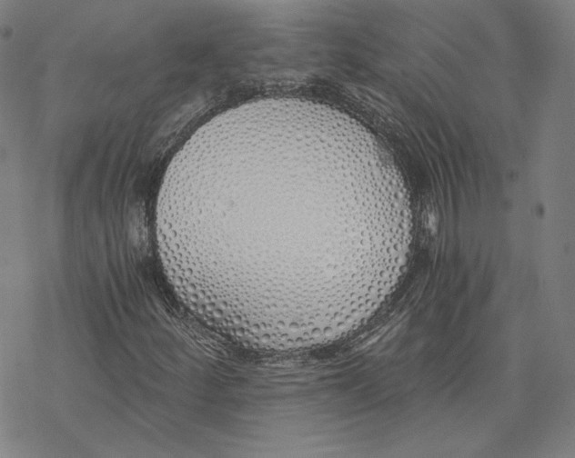 X0000076371252200610271454