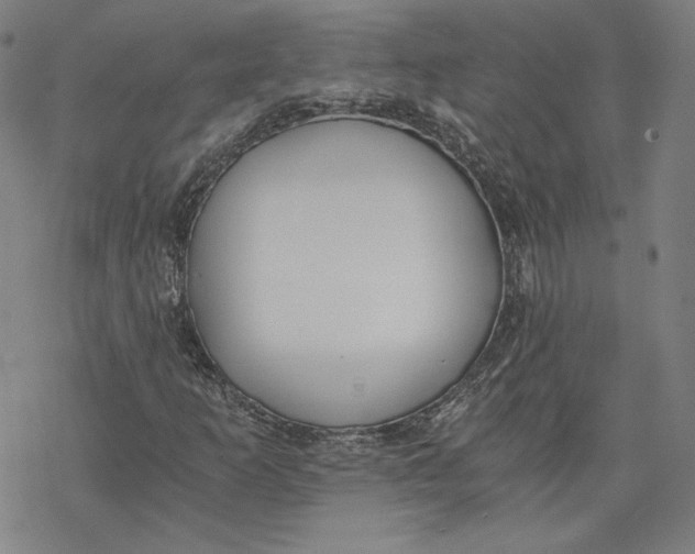 X0000076371253200610271454