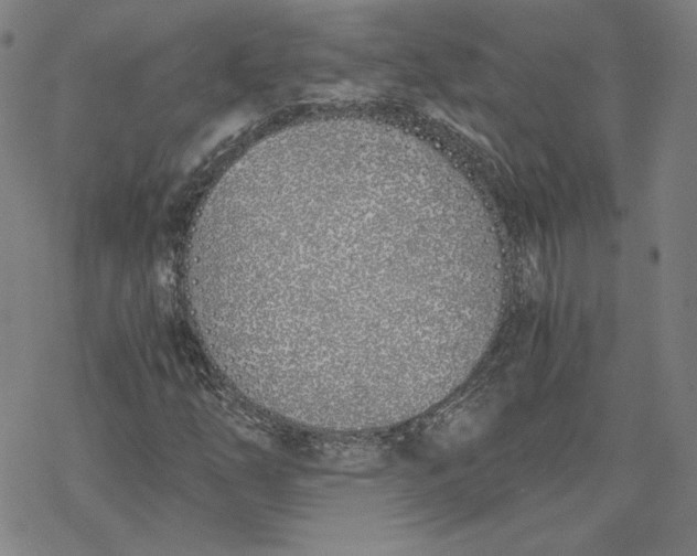 X0000076371254200610271454