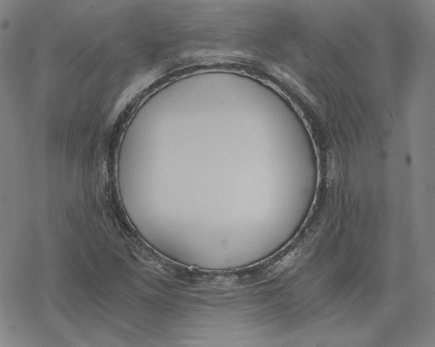 X0000076371261200610271454