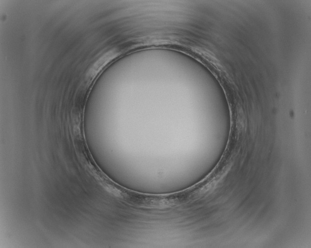 X0000076371273200610271454
