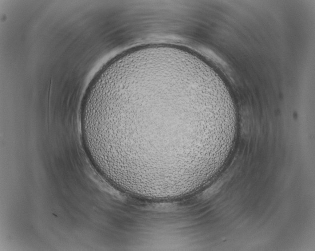 X0000076371280200610271454