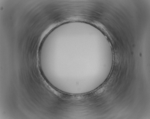 X0000076371286200610271453