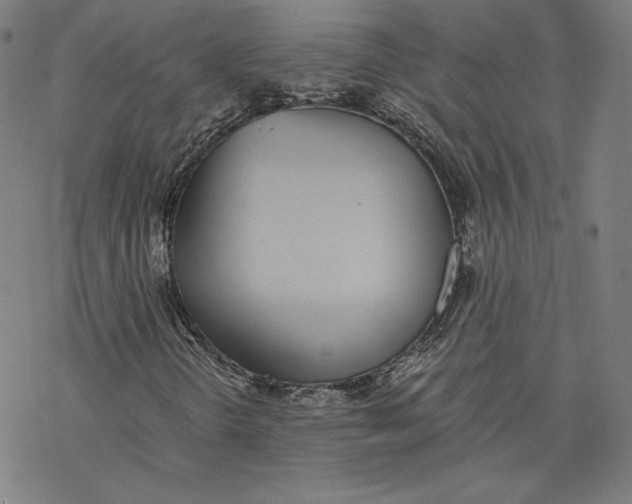 X0000076371298200610271453
