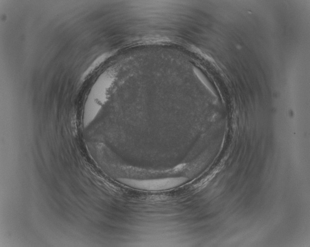 X0000076371306200610271453
