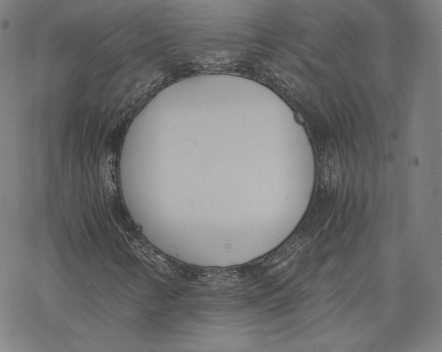 X0000076371346200610271452