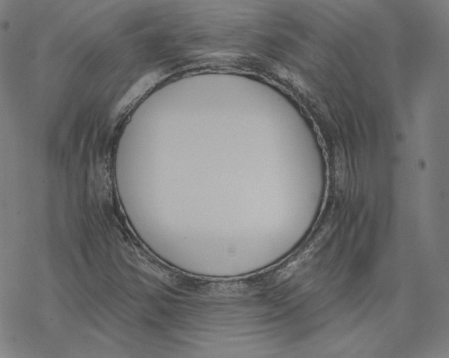 X0000076371354200610271452
