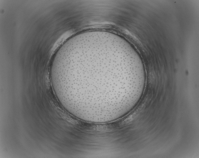 X0000076371362200610271452