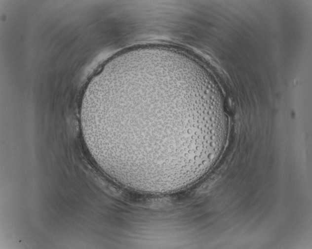 X0000076371363200610271452