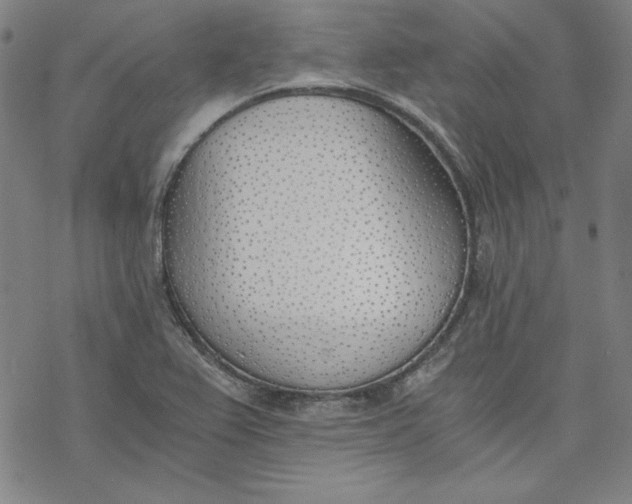X0000076371367200610271452