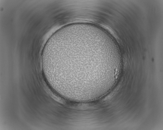 X0000076371371200610271452