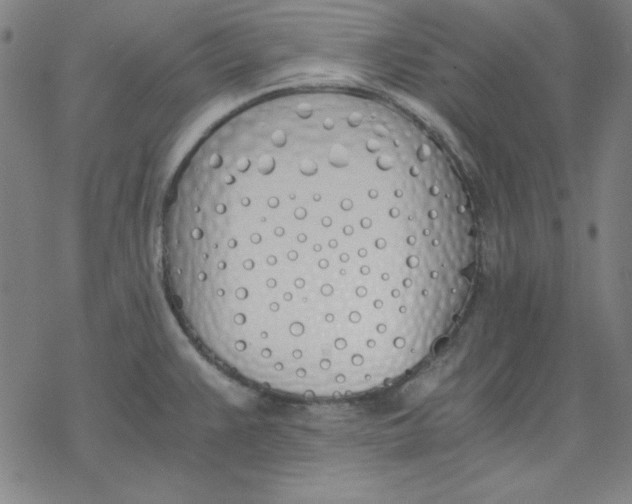 X0000076371383200610271452