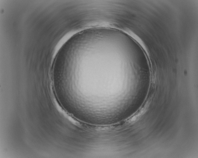 X0000076371389200610271452