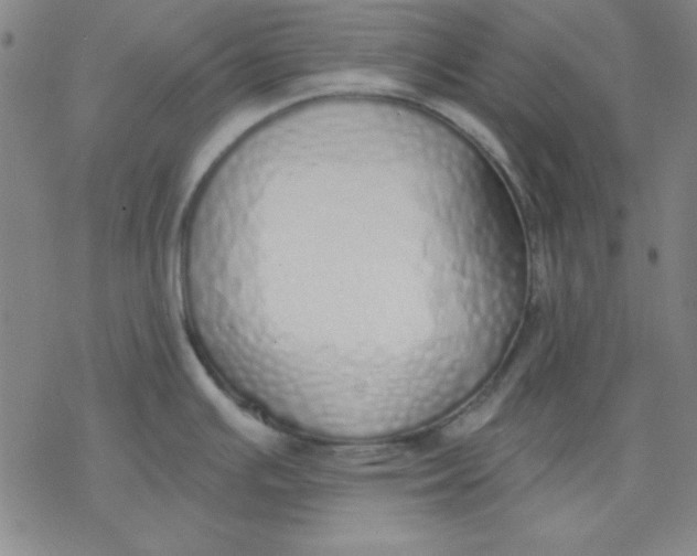 X0000076371391200610271452