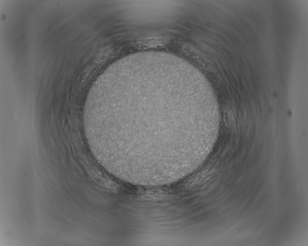 X0000076371393200610271451
