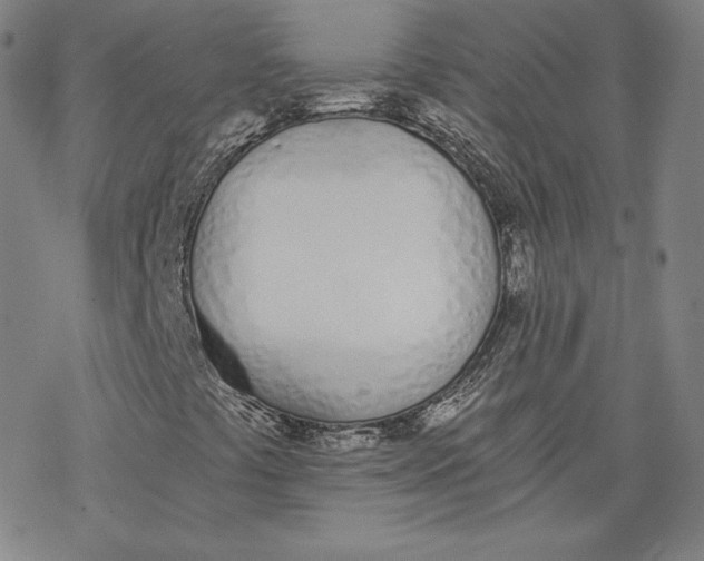 X0000076371441200610271451