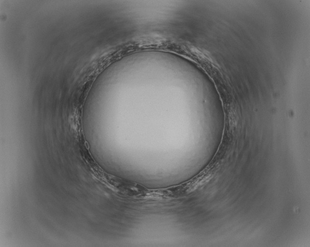 X0000076371445200610271451