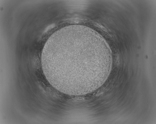 X0000076371446200610271451