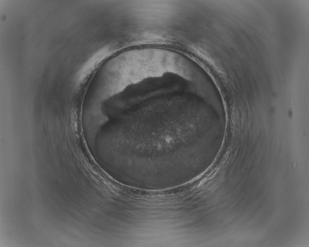 X0000076371455200610271451