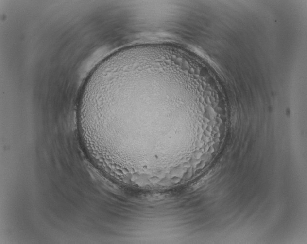 X0000076371459200610271451