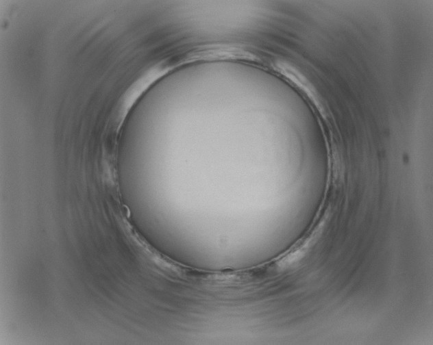 X0000076371481200610271450