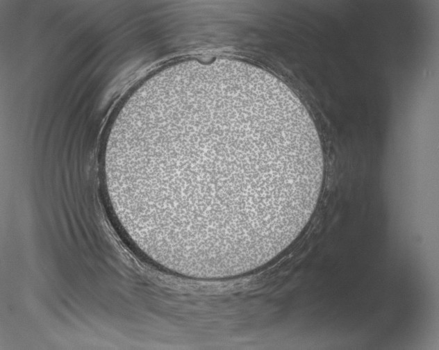 X0000076370002200611031615