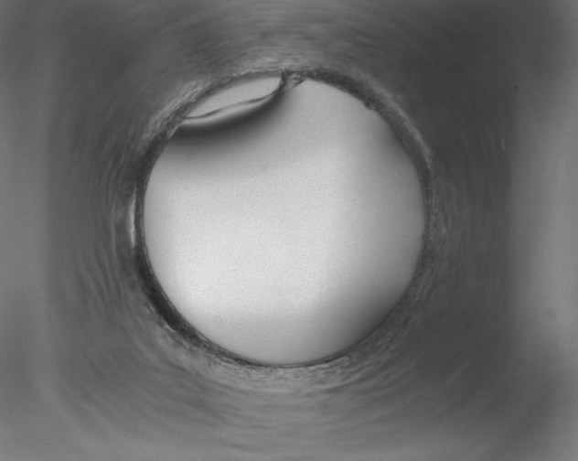 X0000076370019200611031615