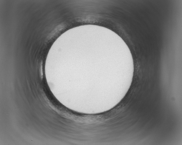X0000076370020200611031615