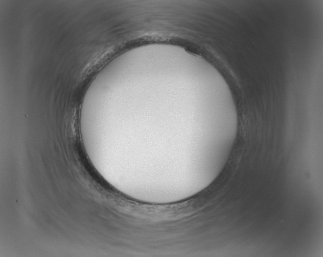 X0000076370023200611031615