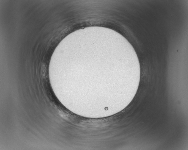 X0000076370025200611031615