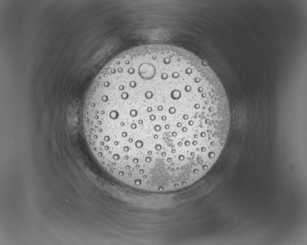 X0000076370032200611031615