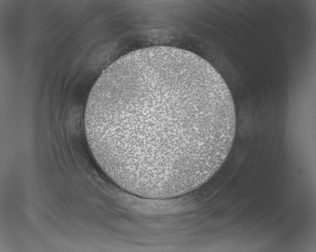 X0000076370034200611031615