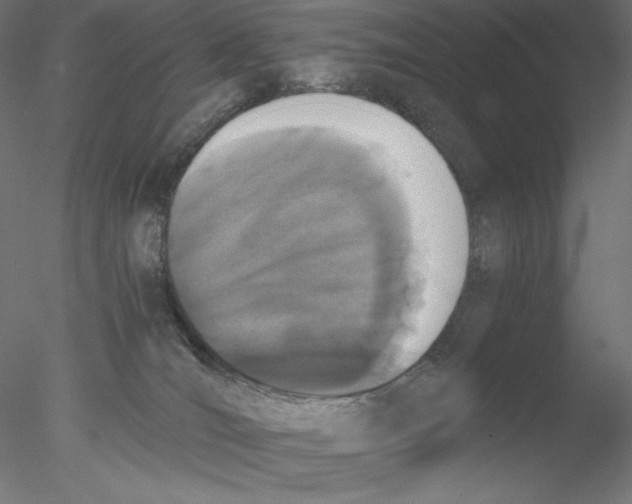 X0000076370036200611031615