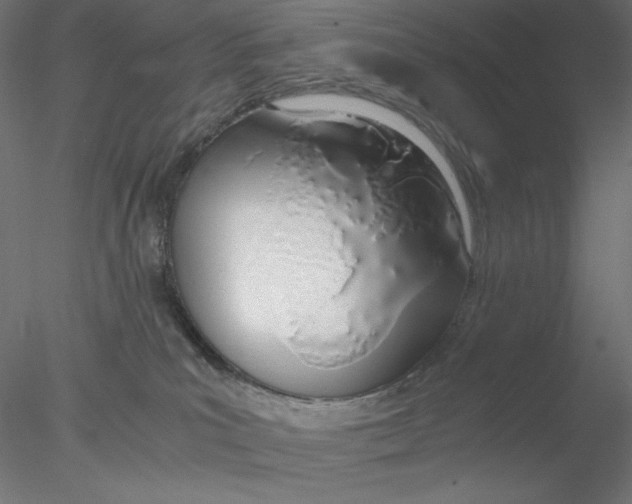 X0000076370039200611031615