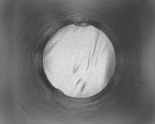 X0000076370043200611031615