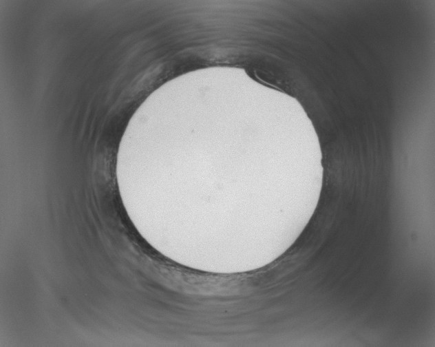 X0000076370044200611031615