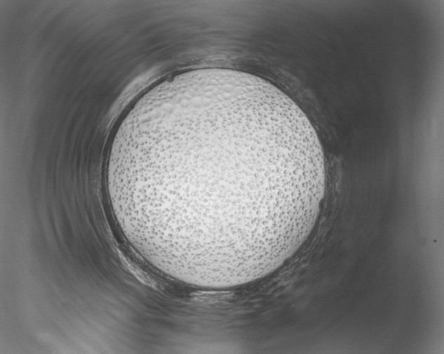 X0000076370051200611031614