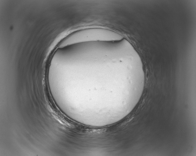 X0000076370056200611031614