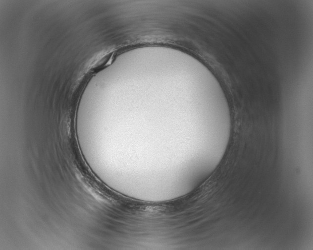 X0000076370060200611031614