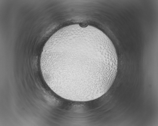 X0000076370066200611031614
