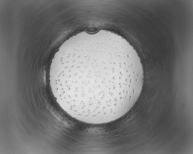 X0000076370067200611031614