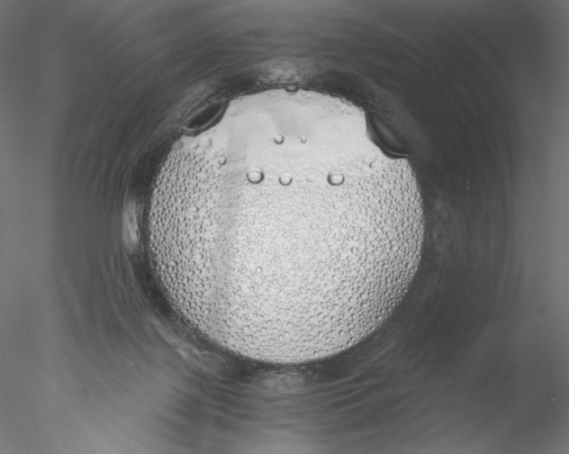 X0000076370075200611031614