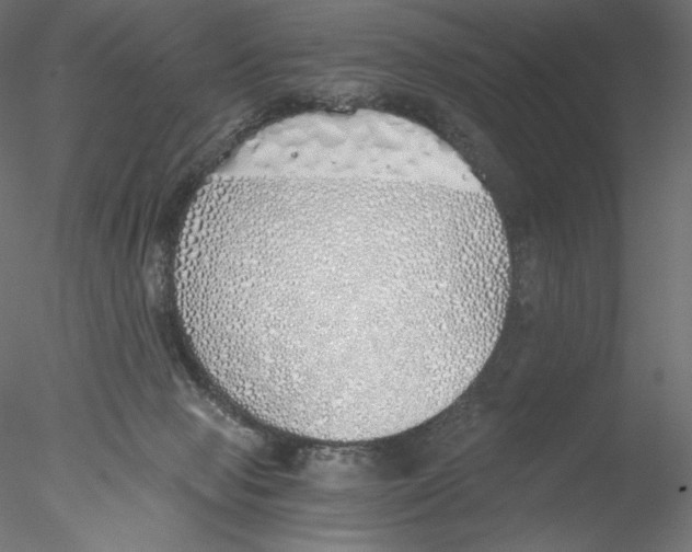 X0000076370077200611031614