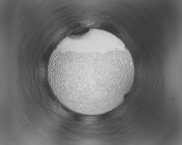 X0000076370085200611031614