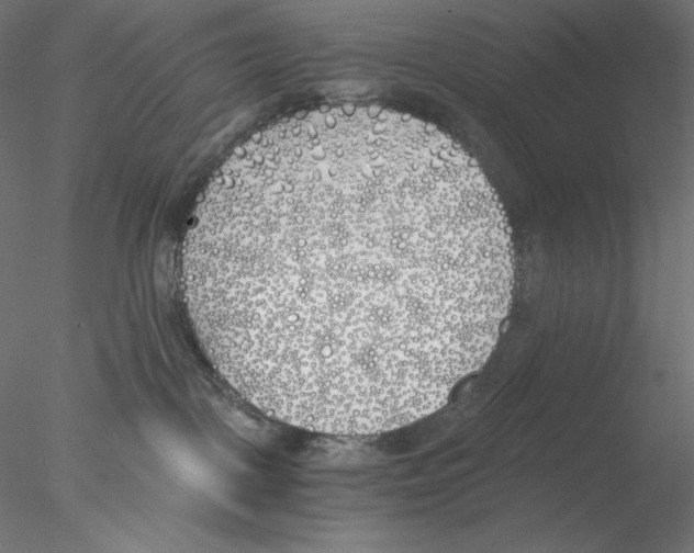 X0000076370093200611031615