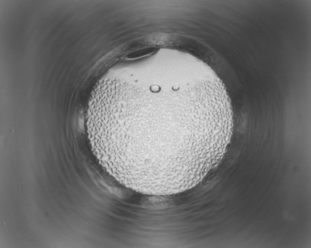 X0000076370095200611031615